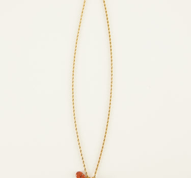 COLLAR SINAI