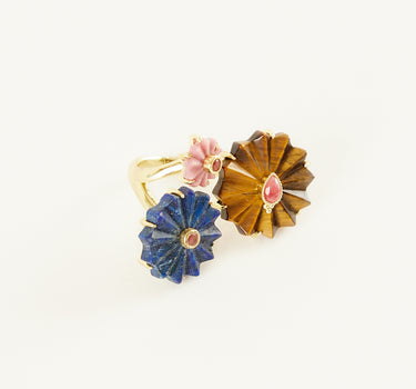 ANILLO ORUS