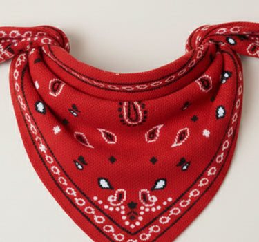 BANDANA PUNTO