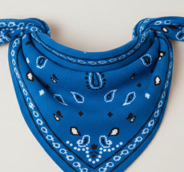 BANDANA PUNTO