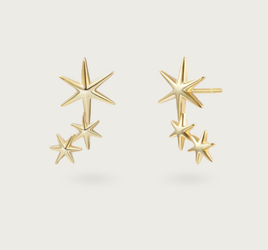 STARFISH EARRING