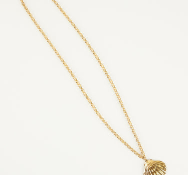 COLLAR SHELL