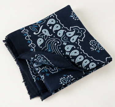 PASHMINA PAISLEY XL 2