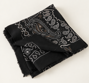 PASHMINA PAISLEY XL 2