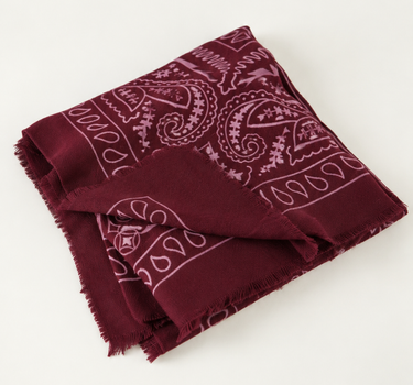 PASHMINA PAISLEY XL