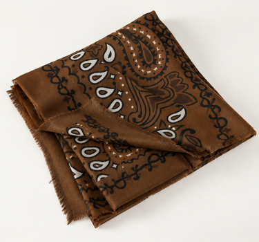 PASHMINA PAISLEY XL 2
